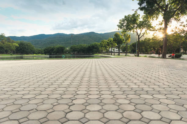 Best Driveway Paving Contractor  in Newberg, OR